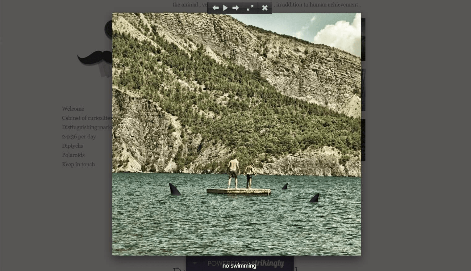 zzi Colonna攝影的網站 zzi Colonna攝影的網站